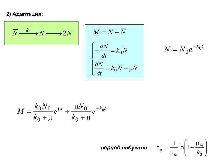 2) Адаптация: период индукции: 