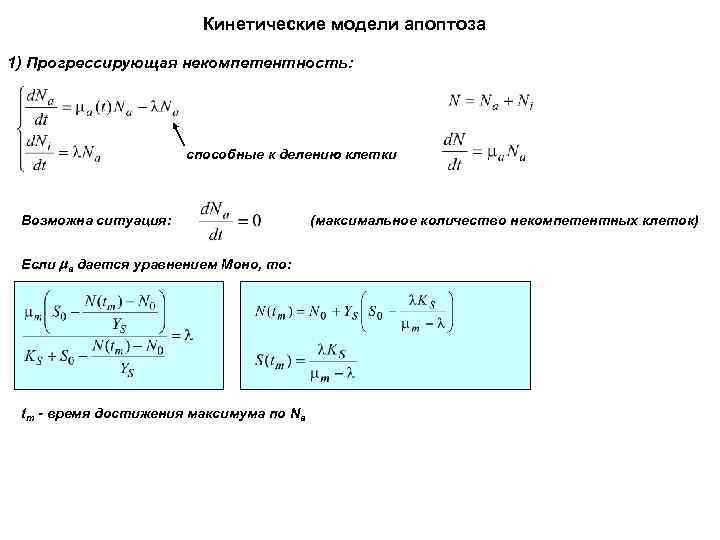 Кинетические модели апоптоза 1) Прогрессирующая некомпетентность: способные к делению клетки Возможна ситуация: Если a