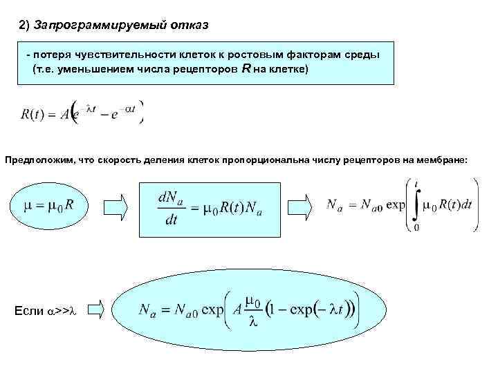 2) Запрограммируемый отказ - потеря чувствительности клеток к ростовым факторам среды (т. е. уменьшением