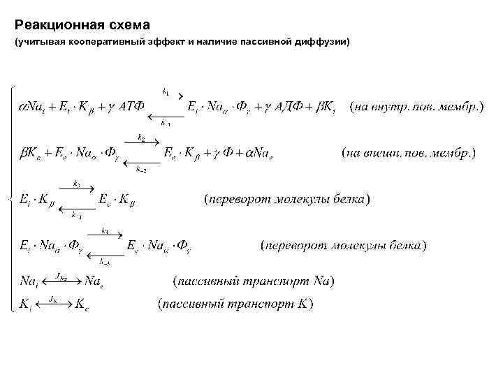 Реакционная схема (учитывая кооперативный эффект и наличие пассивной диффузии) 