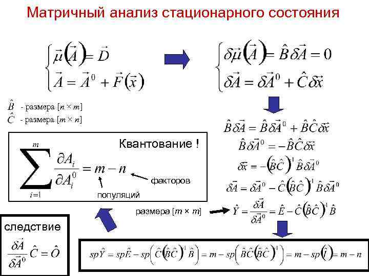 Матричный анализ стационарного состояния - размера [n × m] - размера [m × n]