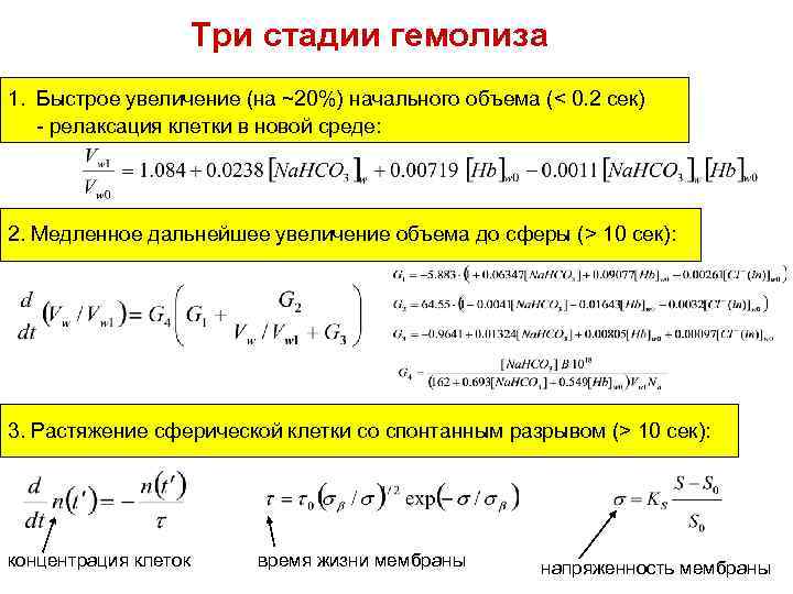 Три стадии гемолиза 1. Быстрое увеличение (на ~20%) начального объема (< 0. 2 сек)