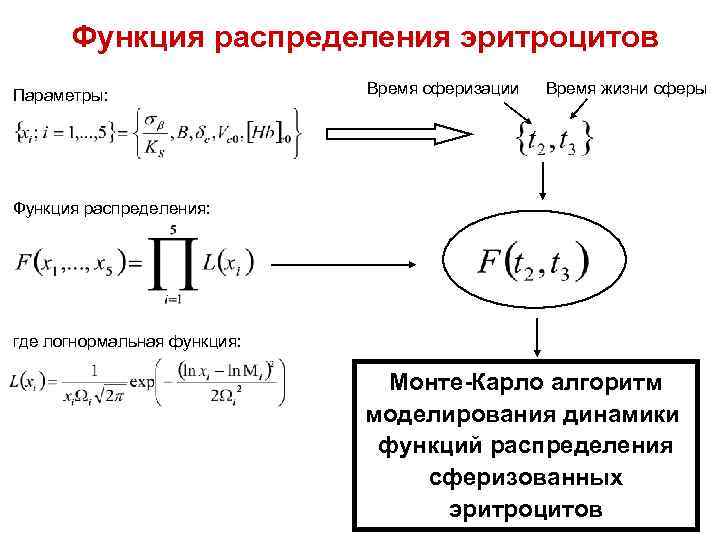 Функция распределения эритроцитов Параметры: Время сферизации Время жизни сферы Функция распределения: где логнормальная функция: