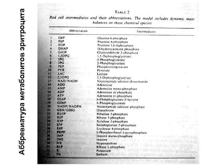 Аббревиатура метаболитов эритроцита 