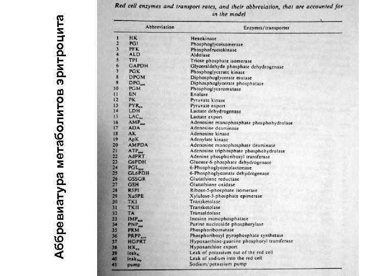 Аббревиатура метаболитов эритроцита 