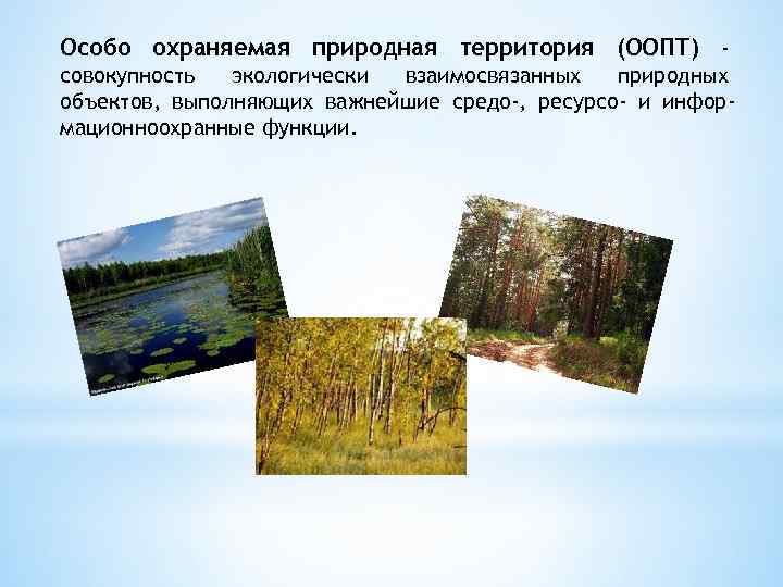 Особо охраняемая природная территория (ООПТ) совокупность экологически взаимосвязанных природных объектов, выполняющих важнейшие средо-, ресурсо-