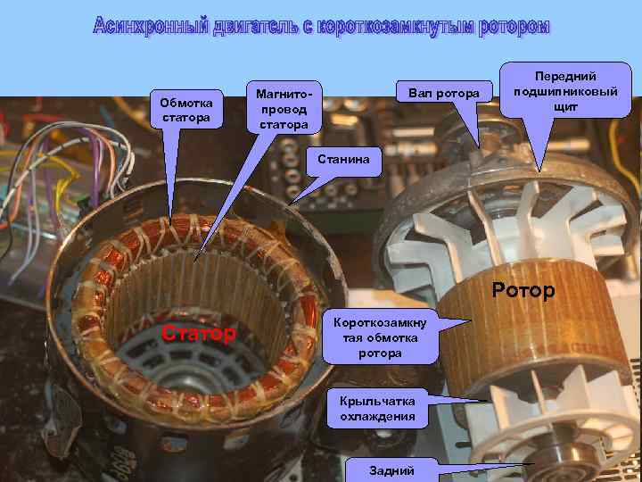 Обмотка статора Вал ротора Магнитопровод статора Передний подшипниковый щит Станина Ротор Статор Короткозамкну тая