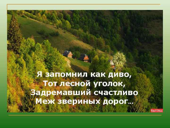 Я запомнил как диво, Тот лесной уголок, Задремавший счастливо Меж звериных дорог… 