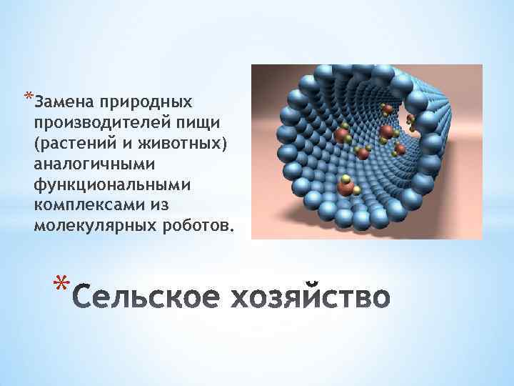 *Замена природных производителей пищи (растений и животных) аналогичными функциональными комплексами из молекулярных роботов. *