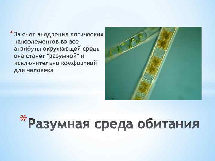 * За счет внедрения логических наноэлементов во все атрибуты окружающей среды она станет "разумной"