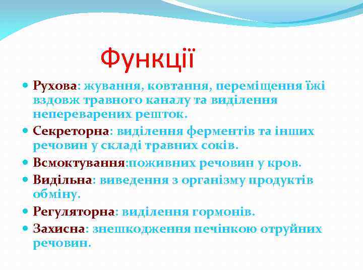 Функції Рухова: жування, ковтання, переміщення їжі вздовж травного каналу та виділення непереварених решток. Секреторна: