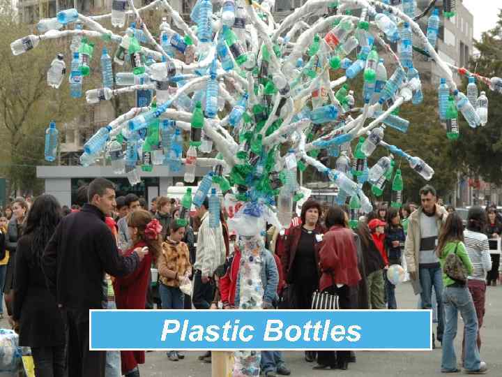 Plastic Bottles 