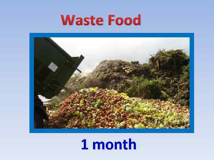 Waste Food 1 month 