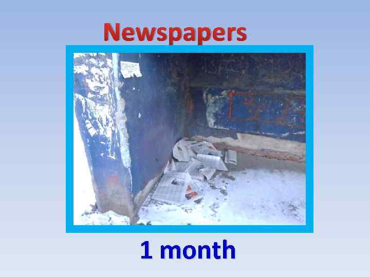 Newspapers 1 month 