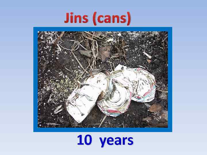 Jins (cans) 10 years 