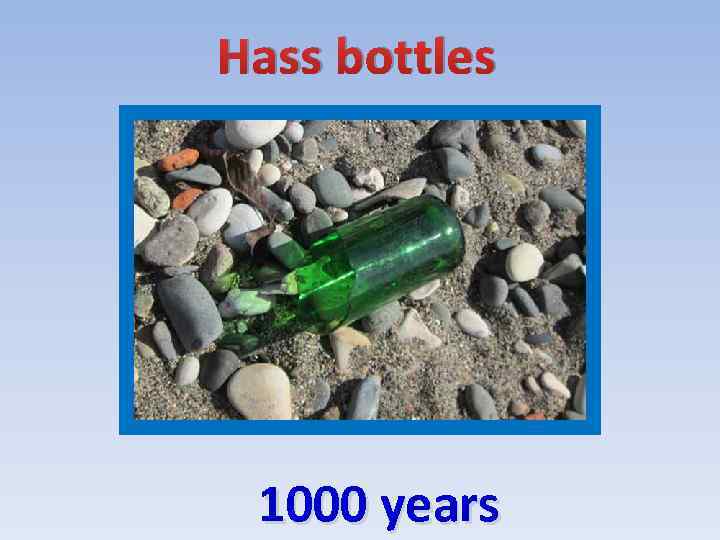 Hass bottles 1000 years 
