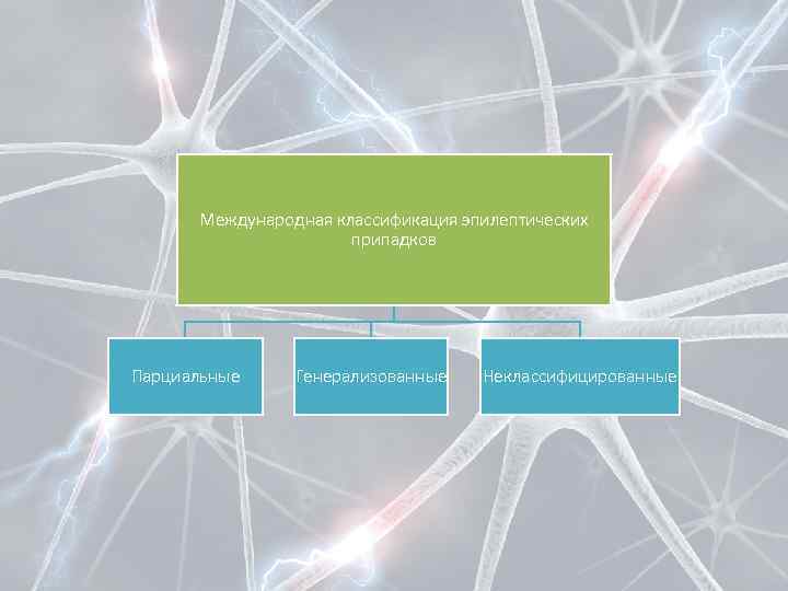 Международная классификация эпилептических припадков Парциальные Генерализованные Неклассифицированные 