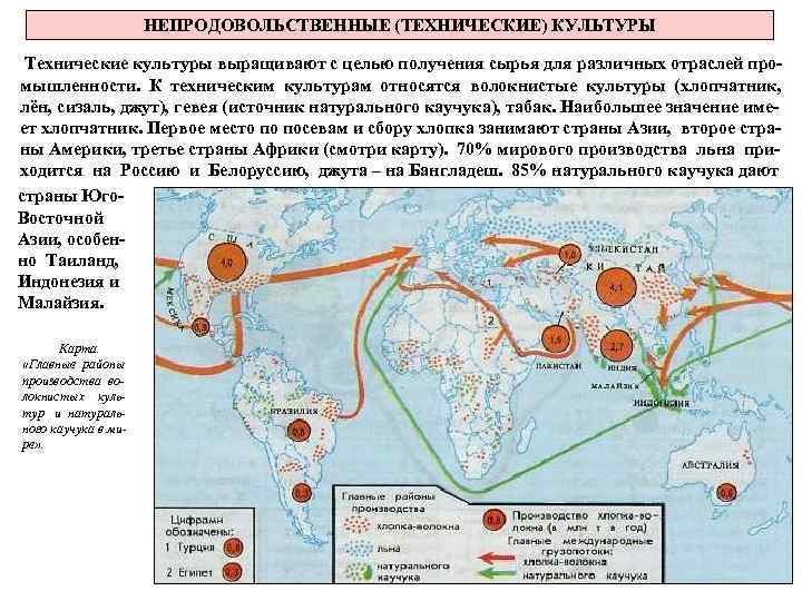 НЕПРОДОВОЛЬСТВЕННЫЕ (ТЕХНИЧЕСКИЕ) КУЛЬТУРЫ Технические культуры выращивают с целью получения сырья для различных отраслей промышленности.