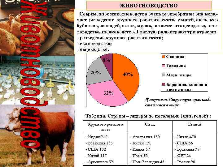 ЖИВОТНОВОДСТВО Современное животноводство очень разнообразно: оно включает разведение крупного рогатого скота, свиней, овец, коз,