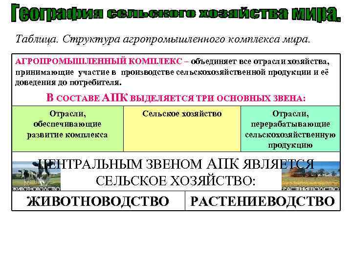 Таблица. Структура агропромышленного комплекса мира. АГРОПРОМЫШЛЕННЫЙ КОМПЛЕКС – объединяет все отрасли хозяйства, принимающие участие