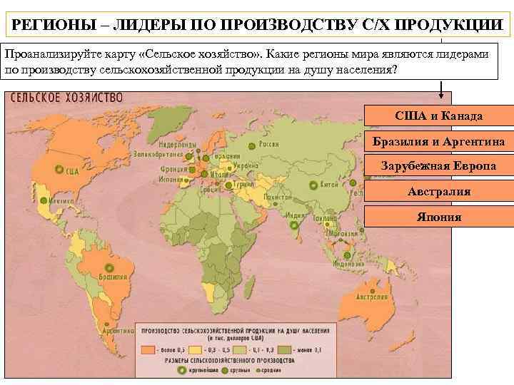 РЕГИОНЫ – ЛИДЕРЫ ПО ПРОИЗВОДСТВУ С/Х ПРОДУКЦИИ Проанализируйте карту «Сельское хозяйство» . Какие регионы