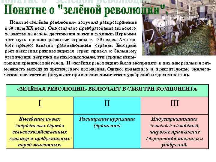 Понятие «зелёная революция» получила распространение в 60 годы ХХ века. Оно означало преобразование сельского