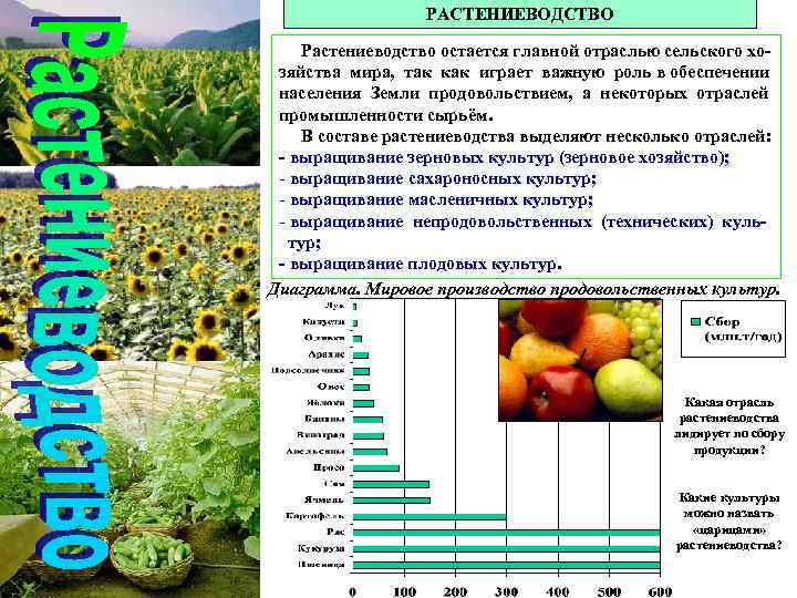 Структура растениеводства. Агропромышленный комплекс таблица. Агропромышленный комплекс Растениеводство таблица. АПК Растениеводство таблица. Структура растениеводства таблица.