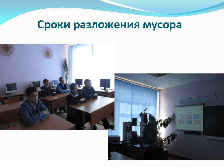 Сроки разложения мусора 