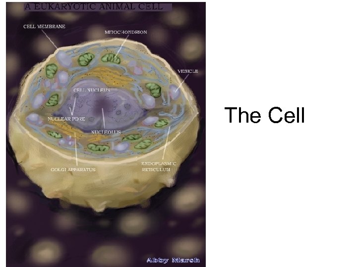 The Cell 