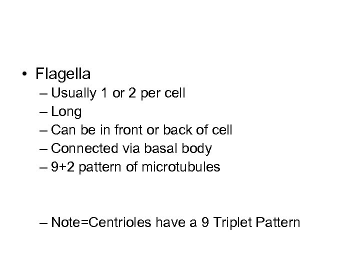  • Flagella – Usually 1 or 2 per cell – Long – Can