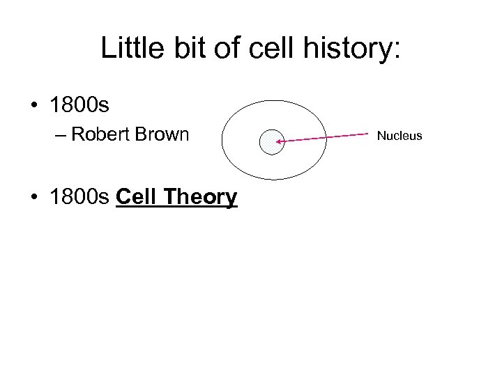 Little bit of cell history: • 1800 s – Robert Brown • 1800 s