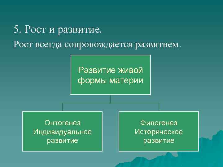 5. Рост и развитие. Рост всегда сопровождается развитием. Развитие живой формы материи Онтогенез Индивидуальное