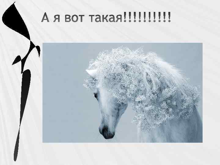 А я вот такая!!!!! 