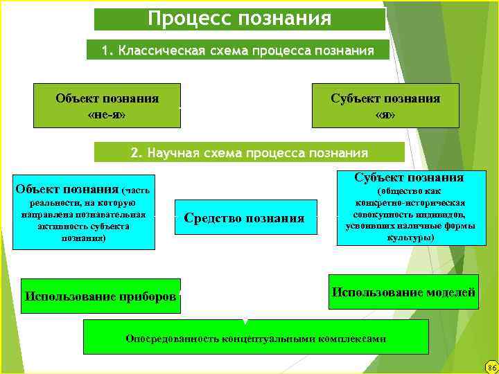 Процессы когнитивного познания. Этапы процесса познания схема. Процесс познания.