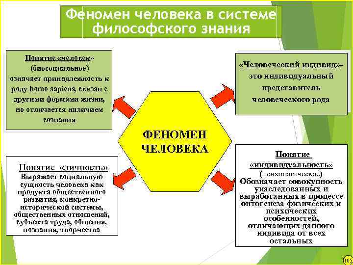 Явление человеческой. Феномен человека в философии. Феномен сознания в философии. Социальные феномены жизни человека. Феномен это в философии.