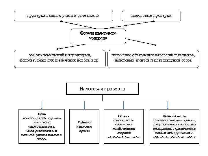 Финансовое и налоговое право налоговые органы аудит презентация 11 класс