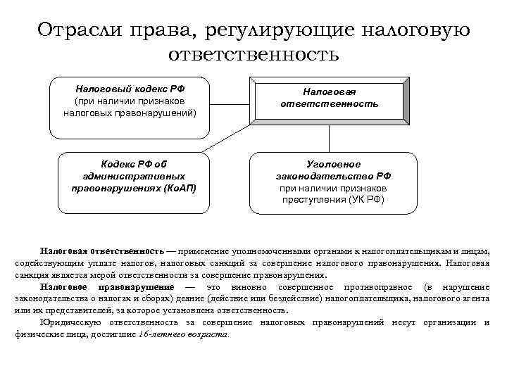 Отрасли права, регулирующие налоговую ответственность Налоговый кодекс РФ (при наличии признаков налоговых правонарушений) Кодекс