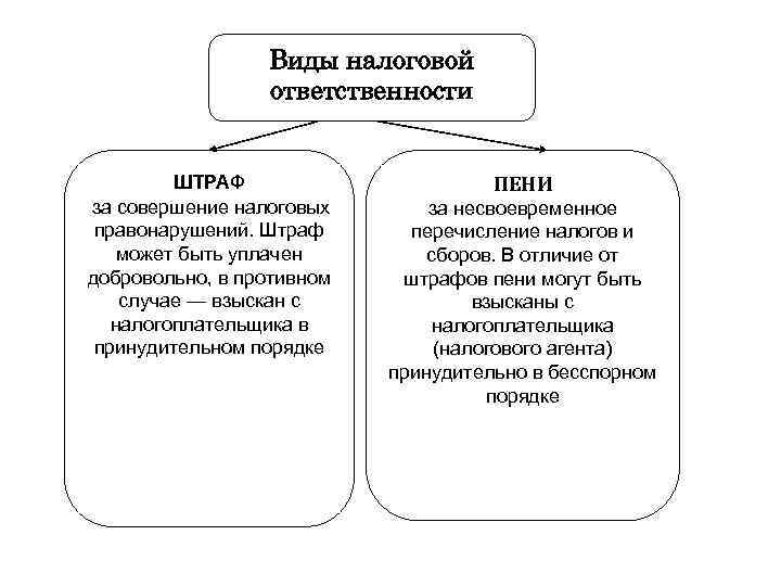 Налоговые правонарушения схема