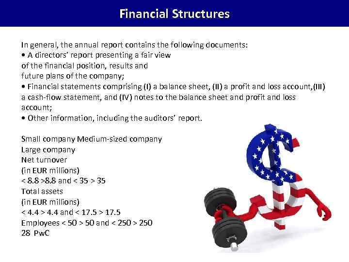 Financial Structures In general, the annual report contains the following documents: • A directors’