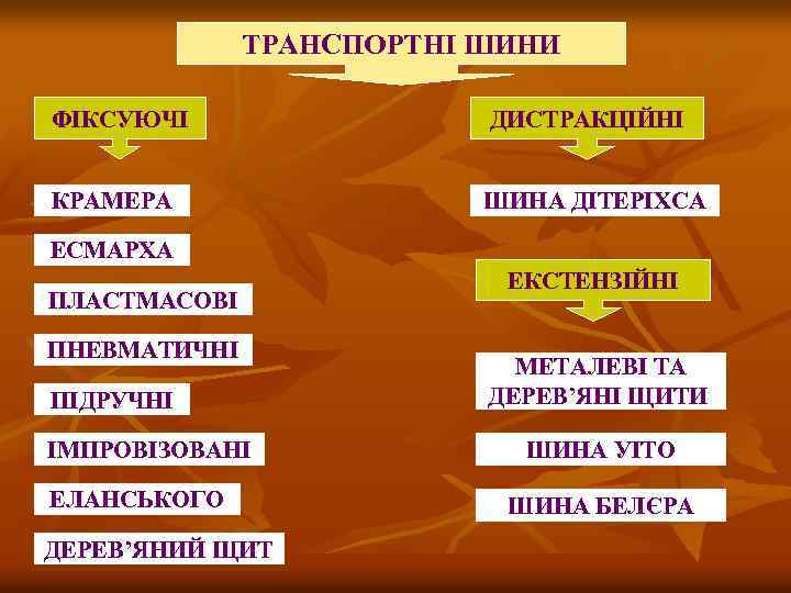ТРАНСПОРТНІ ШИНИ ФІКСУЮЧІ ДИСТРАКЦІЙНІ КРАМЕРА ШИНА ДІТЕРІХСА ЕСМАРХА ПЛАСТМАСОВІ ПНЕВМАТИЧНІ ПІДРУЧНІ ІМПРОВІЗОВАНІ ЕЛАНСЬКОГО ДЕРЕВ’ЯНИЙ