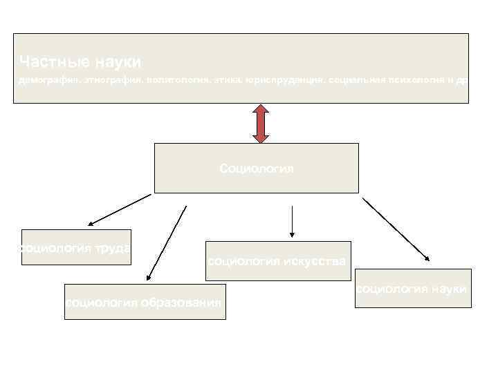 Частные науки демография, этнография, политология, этика, юриспруденция, социальная психология и др. Социология социология труда