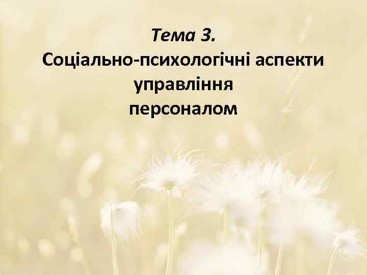Тема 3. Соціально-психологічні аспекти управління персоналом 