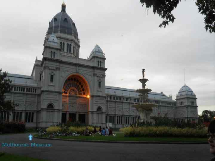 Melbourne Museum 