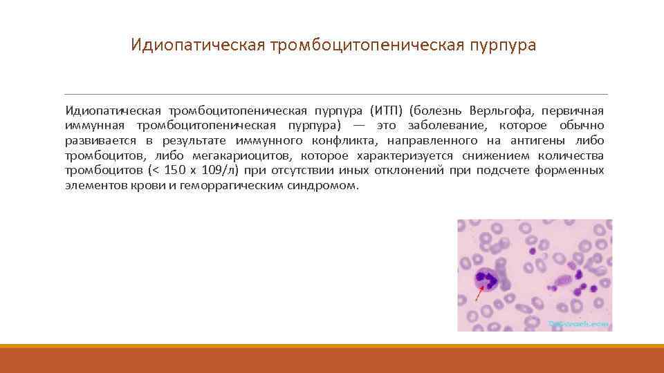 Идиопатическая тромбоцитопеническая пурпура (ИТП) (болезнь Верльгофа, первичная иммунная тромбоцитопеническая пурпура) — это заболевание, которое