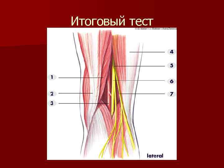 Итоговый тест 