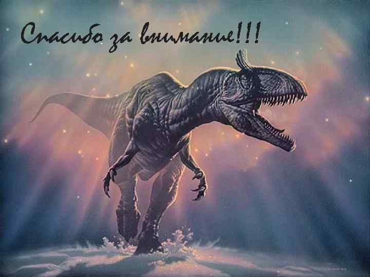 Спасибо за внимание!!! 