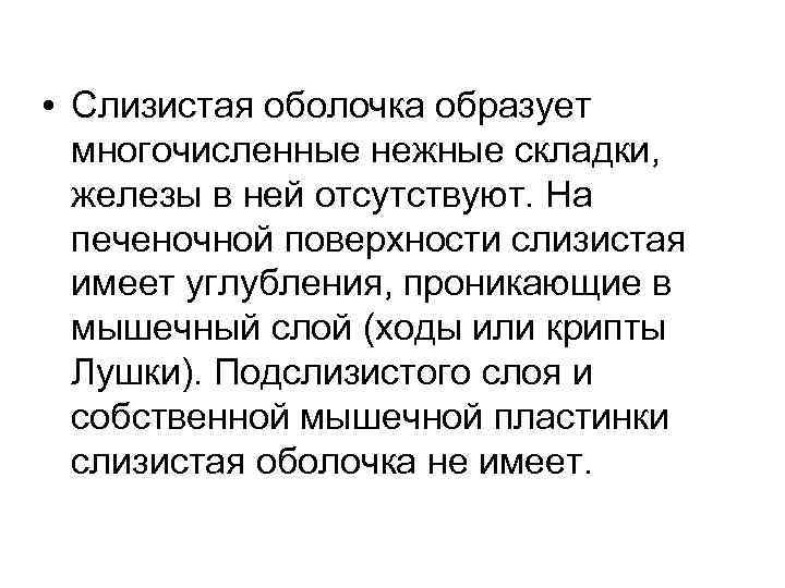  • Слизистая оболочка образует многочисленные нежные складки, железы в ней отсутствуют. На печеночной