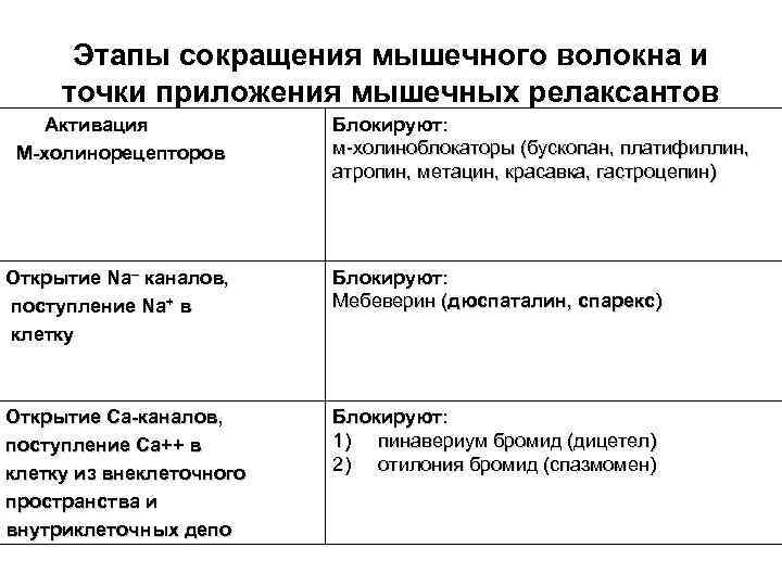 Этапы сокращения мышечного волокна и точки приложения мышечных релаксантов Активация М-холинорецепторов Блокируют: м-холиноблокаторы (бускопан,