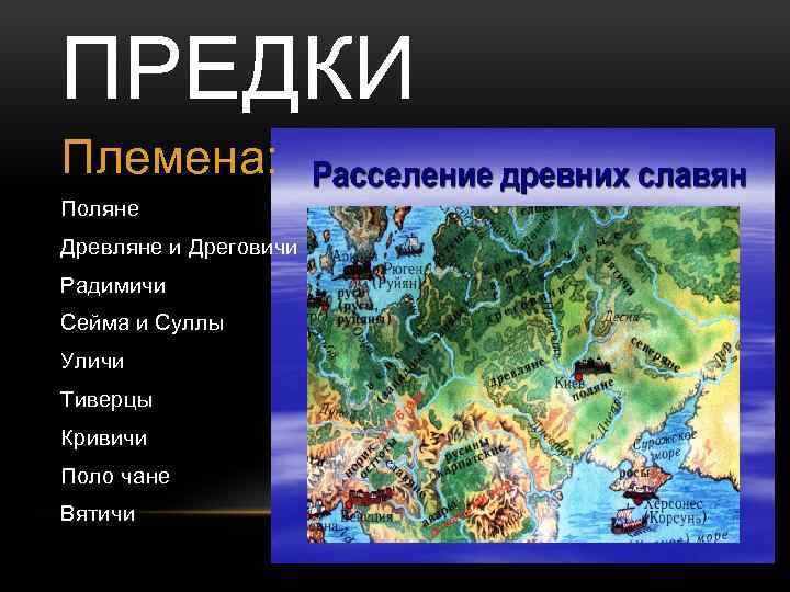 ПРЕДКИ Племена: Поляне Древляне и Дреговичи Радимичи Сейма и Суллы Уличи Тиверцы Кривичи Поло