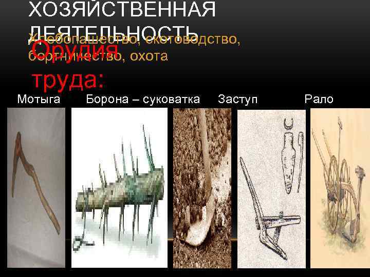 ХОЗЯЙСТВЕННАЯ ДЕЯТЕЛЬНОСТЬ Хлебопашество, скотоводство, Орудия труда: бортничество, охота Мотыга Плуг Борона – суковатка Заступ